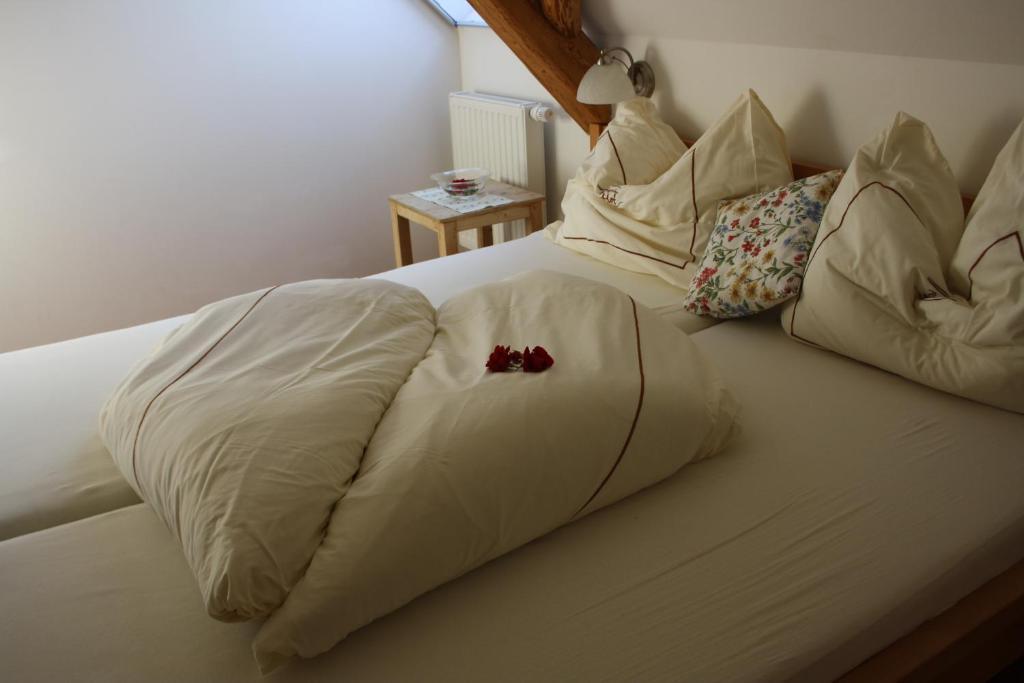 Buchgrabenhof Apartment Windisch Minihof ห้อง รูปภาพ